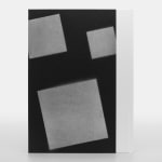 Adam Pendleton, Special Edition 40/40, 2024
