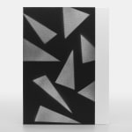 Adam Pendleton, Special Edition 40/40, 2024