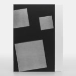 Adam Pendleton, Special Edition 40/40, 2024