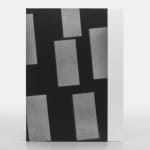 Adam Pendleton, Special Edition 40/40, 2024