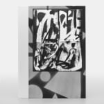 Adam Pendleton, Special Edition 40/40, 2024