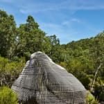 Sui Jianguo, Dream Stone, 2010