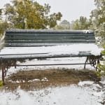 Jean-François Fourtou, Sans titre (Banc), 2006