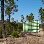 Claudia Comte, 128 squares and their demonstration, 2015