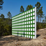 Claudia Comte, 128 squares and their demonstration, 2015