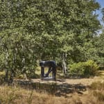 Agustín Cárdenas, La Grande Porte, 1975