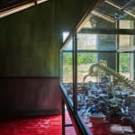 Mark Dion, Dark Museum, 2011