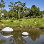 Marta Pan, Lentilles flottantes, 1994