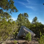 Sui Jianguo, Dream Stone, 2010
