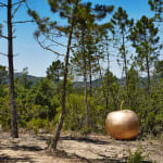 Claude Lalanne, Pomme de New York, 2006