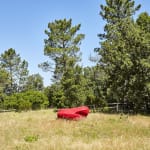 Dan Colen, Red M&M (No. 7), 2014