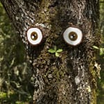 Vidya Gastaldon, Mini Brothers (Oak), 2015