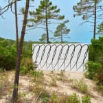 Claudia Comte, Whoever Has Learned How to Listen to Trees, 2025
