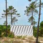 Claudia Comte, Whoever Has Learned How to Listen to Trees, 2025