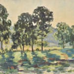 Marie Lucie Nessi, Summer landscape