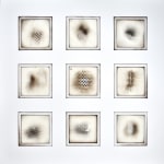 Tony Blackmore, 1-2-4: Displaced by 2