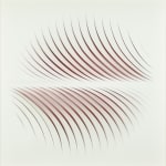 Katherine Anne Rose , Concentric 2