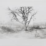 Laurie Steen, Sweetly Scented Tree Surrounding Me, Home Drawing 09-15
