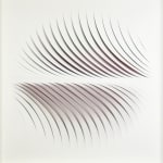 Katherine Anne Rose , Concentric 2