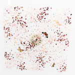 Anna Masters, Disappearing Suns 10