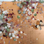 Anna Masters, Disappearing Suns 10