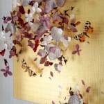 Anna Masters, Disappearing Suns 10