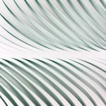 Katherine Anne Rose , Concentric 2