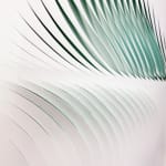 Katherine Anne Rose , Concentric 2