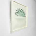 Katherine Anne Rose , Concentric 2
