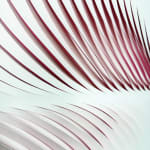 Katherine Anne Rose , Concentric 2