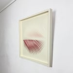 Katherine Anne Rose , Concentric 2