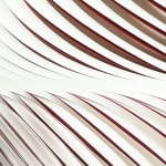 Katherine Anne Rose , Concentric 2