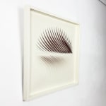 Katherine Anne Rose , Concentric 2