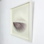 Katherine Anne Rose , Concentric 2
