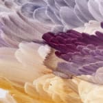 Kathleen Walsh, Solas Glas II