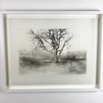 Laurie Steen, Sweetly Scented Tree Surrounding Me, Home Drawing 09-15