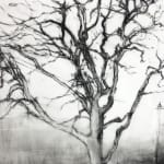 Laurie Steen, Sweetly Scented Tree Surrounding Me, Home Drawing 09-15