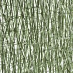 Sung Rim Park, String Composition (220823)