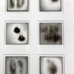 Tony Blackmore, 1-2-4: Displaced by 2