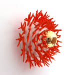 Thumbnail of additional image