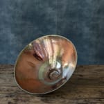 Sutton Taylor, Bowl, 2012