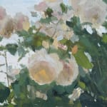 Alex Long, Queen of Sweden Roses