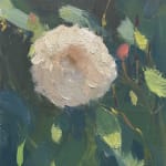 Alex James Long, Roses in Mid-morning Light