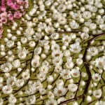 Olga Prinku, Untitled, 2021