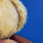 Tatiana Fetisova, Thoughts, 2025