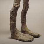 Pedro Rodriguez, Cartago II