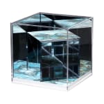 Mark Wright, Panorama, 2020 | £2,250