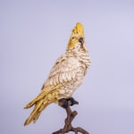 A cold painted bronze figure of a cockatoo naturalistically modelled, perched