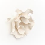 Marina Nimmo, Cornflower #2, 2025