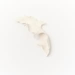 Marina Nimmo, Cornflower #2, 2025